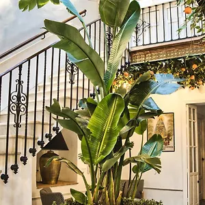  Casa di campagna Casa Levante Spagna